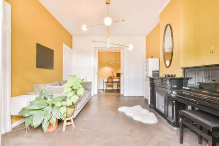Cozy living room with gray sofa and orange wall