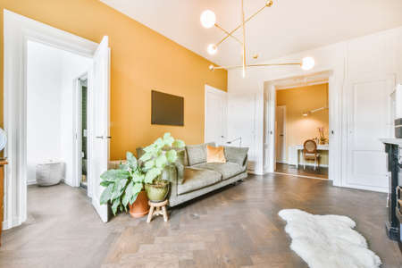 Cozy living room with gray sofa and orange wall