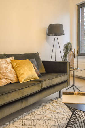 Interior of a beautiful living room. Modern and luxury house design