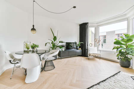modern living room with a spacious area and excellent design and plants