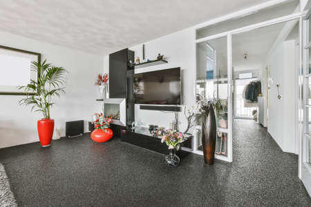 Large plasma TV with many potted flowers on the ground