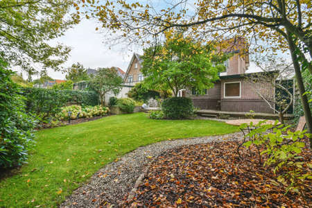 Delightful courtyard with many trees and bushes