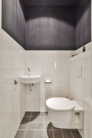 Interior of small clean restroom in miniature style
