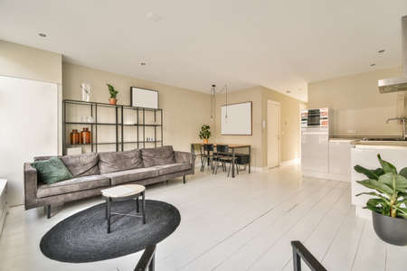 interior of a spacious living room combined with a dining area in a minimalist style