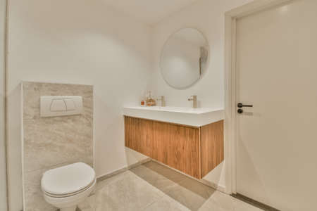 interior of modern toilet room with double sink