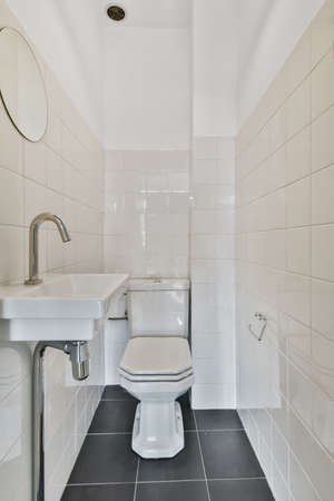 White modern toilet interior in modern home