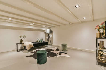 living room with exotic elements in the form of a carpet on the floorの写真素材