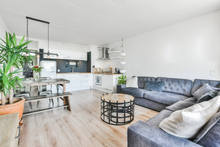 Modern Open Space, Kitchen and Living Room