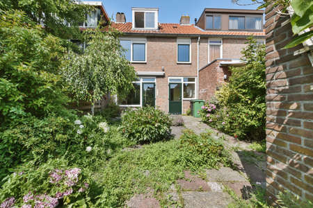 Delightful courtyard of the house with greenery and trees