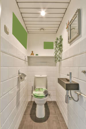 Beautifully decorated toilet with toilet bowl sink and mirror inside, in a modern houseの写真素材