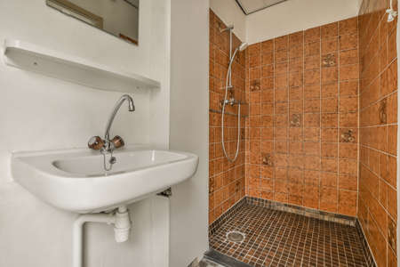 A bathroom in a cozy house with a sink under the mirror and a shower next to it