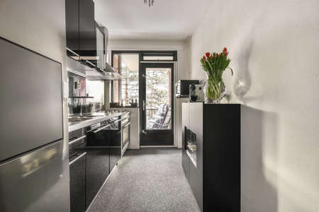 Kitchen in dark colors with modern appliances and carpet on the floor in a cozy house