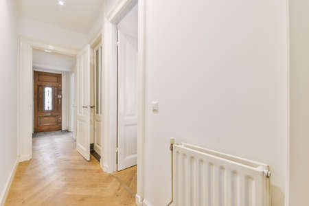 The entrance corridor with door, parquet and light