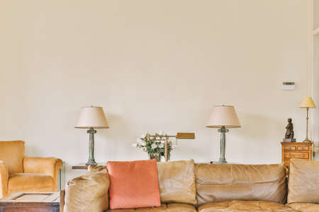 View of the spacious bright living room in the studio apartment with carpet and leather furniture