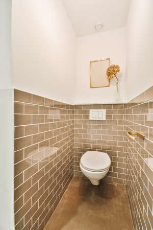 General view of the toilet surrounded by brick tiles in a modern house