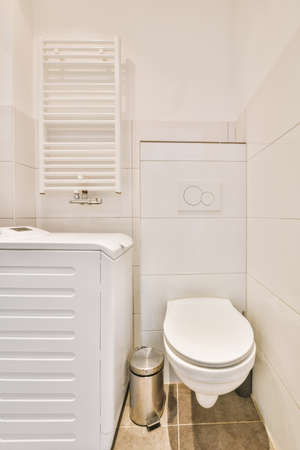 The interior of a modern bathroom with a ceramic toilet and white locker in a cozy houseの写真素材
