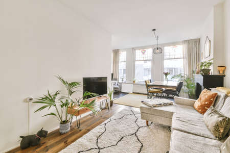 Comfortable sofa with cushions placed against light wall with TV and decorations in modern loving roomの写真素材