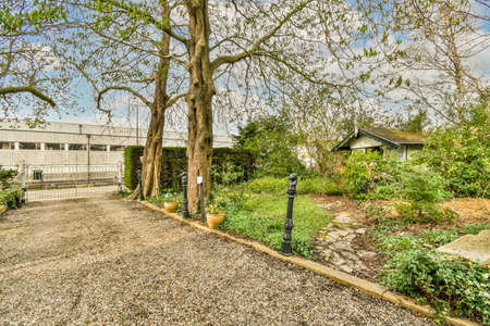 Minimalistic bright and landscaped backyard for outdoor recreationの写真素材