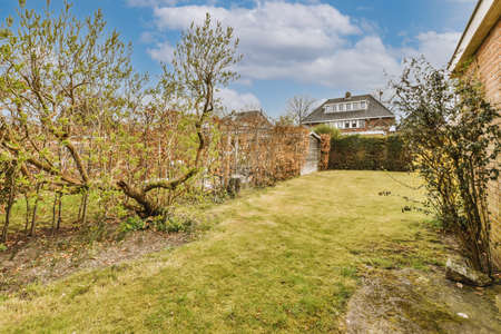Simple small patio with small garden near wooden fence