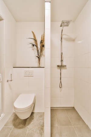 Wall partition between shower tap and wall hung toilet in modern restroom at home