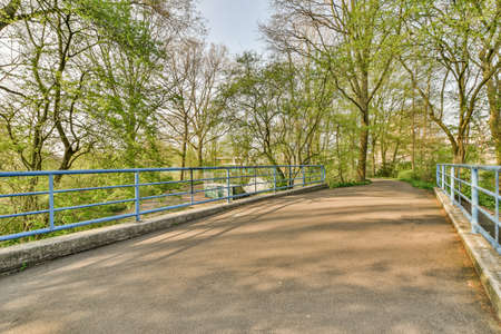 View of street near building with beauty of vagitaion outside