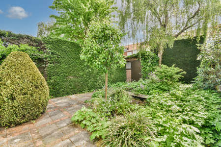 Simple small patio with small garden near wooden fenceの写真素材