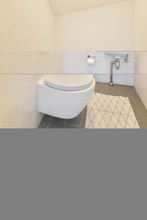 Stylish interior design of small bathroom with white walls and shelves and with large mirror near...
