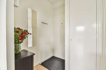 Light narrow hallway with many doors in white walls and cabinet with flowers
