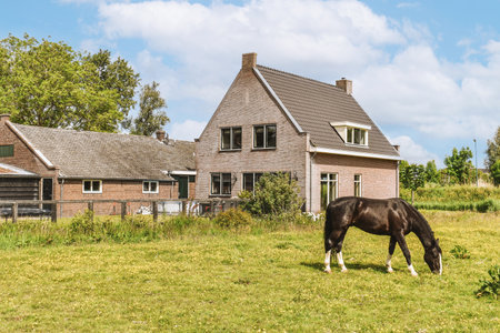 Panorama view of brick houses from an empty sidewalk street with trees and lanternsの写真素材