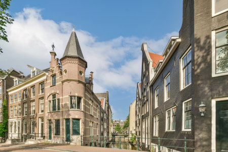 Panorama view of brick houses from an empty sidewalk street with treesの写真素材