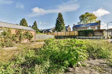 the back yard and garden area in front of the house, which is being used as an urban development...