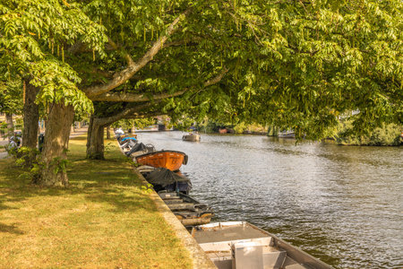 some boats parked on the side of a river next to a tree with green leaves hanging from its branchesのeditorial素材