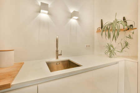 a modern kitchen with white cabinets and wood counter tops, along with a plant in the sink is lit by recessed lightsの写真素材