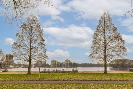 some trees in the park with water and buildings in the background on a sunny day, as seen from behindの写真素材