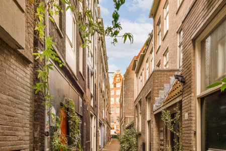 a narrow street in an old town with plants growing on the side of the road and buildings lining both sidesの写真素材