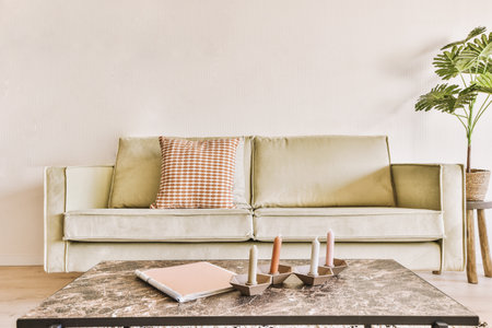 a living room with a couch, coffee table and phone on the floor in front of the couch is a plantの写真素材