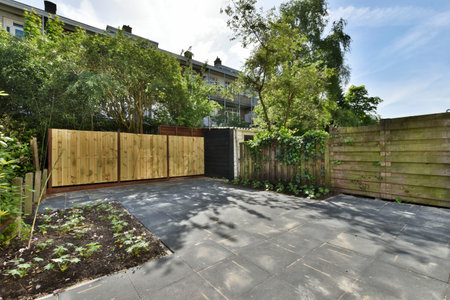 a backyard area with wooden fences and green trees in the photo is taken from an angle to the groundの写真素材