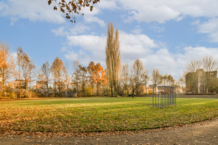 a park in the fall with leaves scattered on the ground and trees turning to orange, yellow and brown...