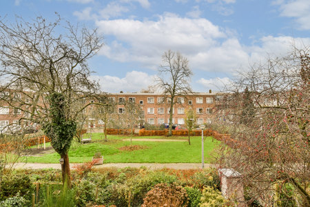 an outside area with some trees and bushes in the fore - image was taken from my cameras perspective