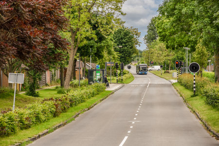 a street with trees and bushes on both sides, in the middle of the road there is a car driving down itのeditorial素材