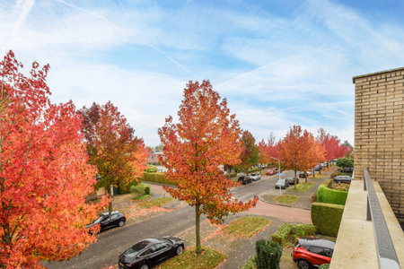 Amsterdam, Netherlands - 10 April, 2021: some trees and cars parked in the parking lot on a sunny fall day with blue skies overhead above, as seen from an apartmentのeditorial素材