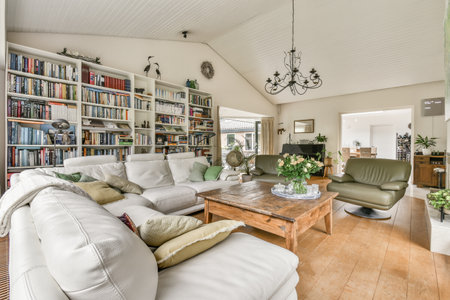 a living room with couches, coffee table and bookshels on the shelves in the room is whiteのeditorial素材