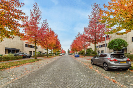 Amsterdam, Netherlands - 10 April, 2021: a street with cars parked on the side and colorful trees lining the road in the back ground to the rightのeditorial素材