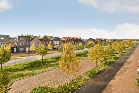 a street with houses in the background and trees on both sides that are yellow, orange and green leaves all over themのeditorial素材