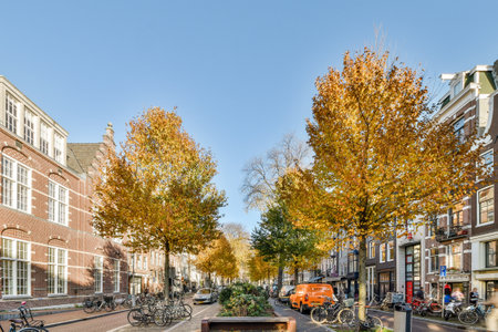 Amsterdam, Netherlands - 10 April, 2021: a city street lined with parked bikes and trees in the middle of the road, on a clear blue sky dayのeditorial素材