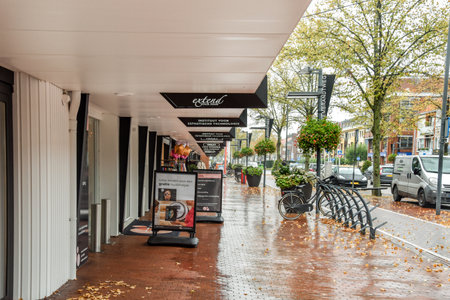 Amsterdam, Netherlands - 10 April, 2021: a rainy day in the city with autumn leaves on the ground and parked bikes along the sidewalk, waiting for their turnのeditorial素材