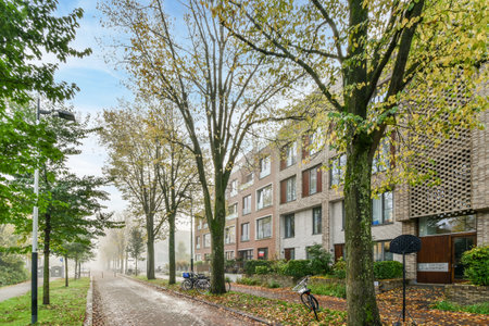 an empty street in the middle of a residential area with trees and leaves on both sides, surrounded by buildingsのeditorial素材