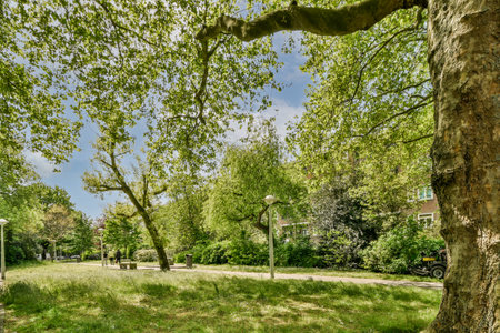 Amsterdam, Netherlands - 10 April, 2021: a tree in the middle of a park with people walking around it and some trees on either side of the roadのeditorial素材