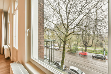 a tree outside the window with no leaves on it and cars parked in the street visible through the window paneのeditorial素材