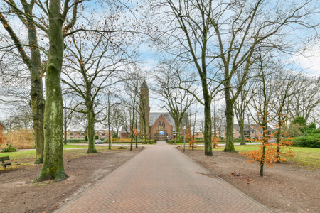 a park with lots of trees in the background and some benches on the other side of the path is emptyのeditorial素材